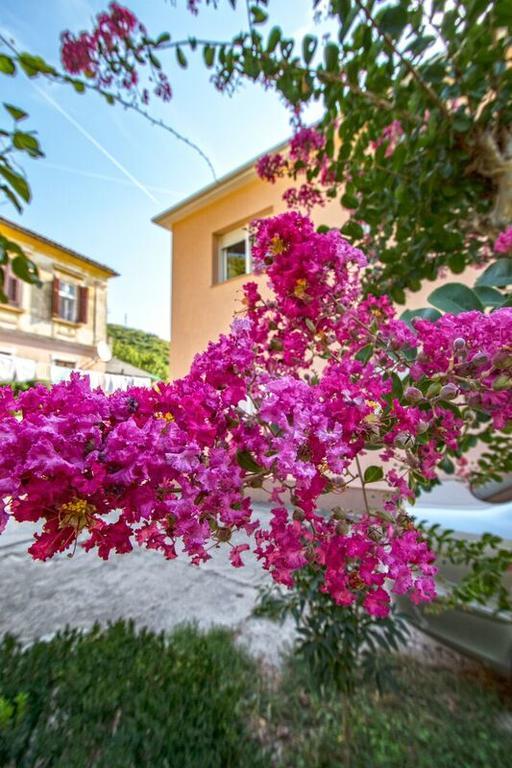 Apartman Nena Crikvenica Exteriér fotografie